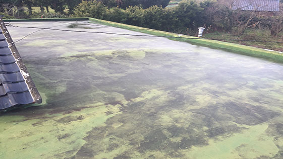 山口県山口市一般住宅 防水の施工前画像