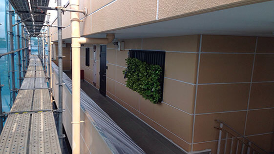 静岡県浜松市東区アパート 外壁の施工前画像