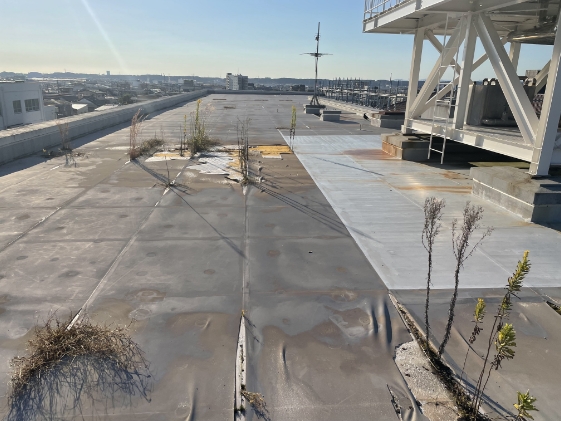 静岡県袋井市小学校屋上防水の施工前画像