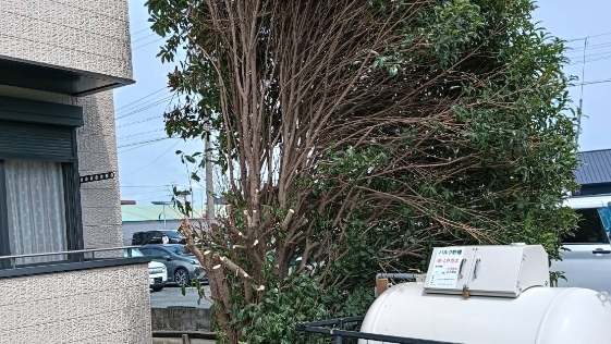 静岡県浜松市　Pアパート その他の施工後画像