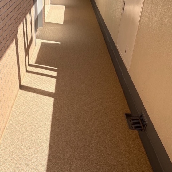 東京都中央区銀座 マンション改修工事 長尺シート貼り 廊下の施工後画像